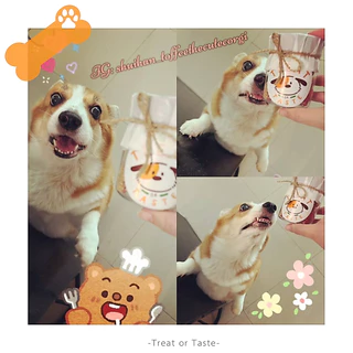 คุกกี้สุนัข รูปหัวใจ ข้าวโอ๊ต กล้วย บีทรูท เหมาะกับน้องแพ้ง่าย | Heart Cookie for Dog โฮมเมด | Treat or Taste