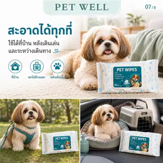PETWELL ทิชชู่เปียกสัตว์เลี้ยง (1 แพ็ค/80 แผ่น) ผ้าเปียกแมว ผ้าเปียกหมา สูตรอ่อนโยนพิเศษ ปลอดภัย เส้นใยธรรมชาติ100%