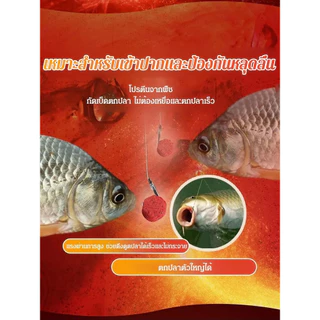 🦈ะกนคืนเงินหากไม่ไ/COD🪝 เหยื่อตกปลาโปรตีนจากสัตว์สำหรับคนขี้เกียจ-เหยื่อตกปลาสดสำหรับนิล ผสมผงไส้เดือนและกุ้ง / สูตรเข้มข้น / อาหารปลาพร้อมรับประทาน ส่วนผสมโปรตีนจากสัตว์คุณภาพสูง เหมาะสำหรับนักตกปลามือใหม่