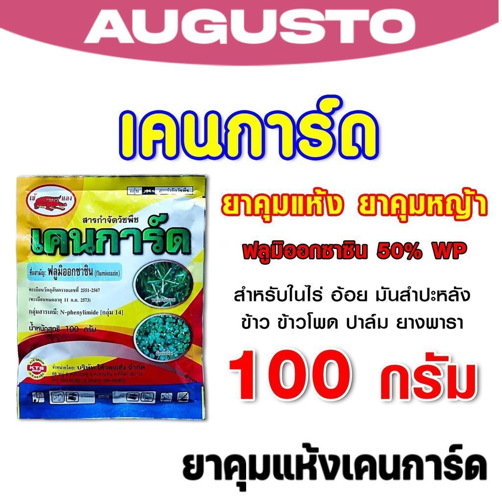 เคนการ์ด ยาคุมหญ้าปาล์ม ยางพารา 100กรัม ยาคุมแห้ง ฟลูมิออกซาซิน คุมหญ้าในไร่มัน ไร่อ้อย อุปกรณ์เกษตร อุปกรณ์กำจัดหญ้า