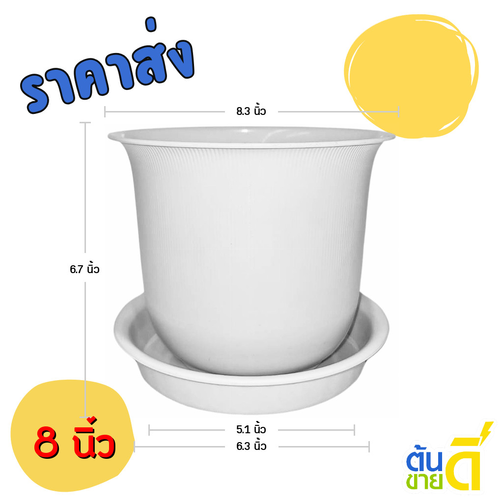 กระถางโรมัน 8 9 นิ้ว มีหลากหลายแบบเลือกได้ ขั้นต่ำ 3 ใบ ชิ้น อัน