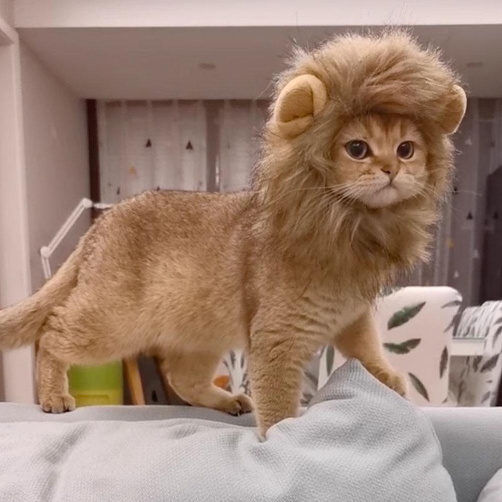 Make Your Pet The King/queen! หมวกคอสตูมสิงโตแบบนุ่มสําหรับสัตว์เลี้ยงหัวระบายอากาศและน้ําหนักเบา S9