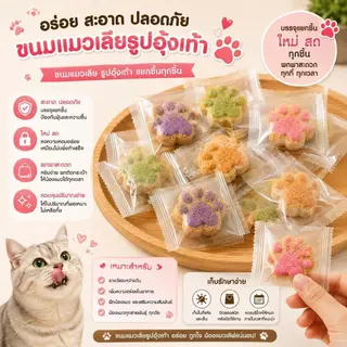 ขนมแมวเนื้อไก่ฟรีซดราย อาหารว่างแมว โปรตีนสูง ไขมันต่ำ ย่อยง่าย เหมาะสำหรับแมวทุกวัย