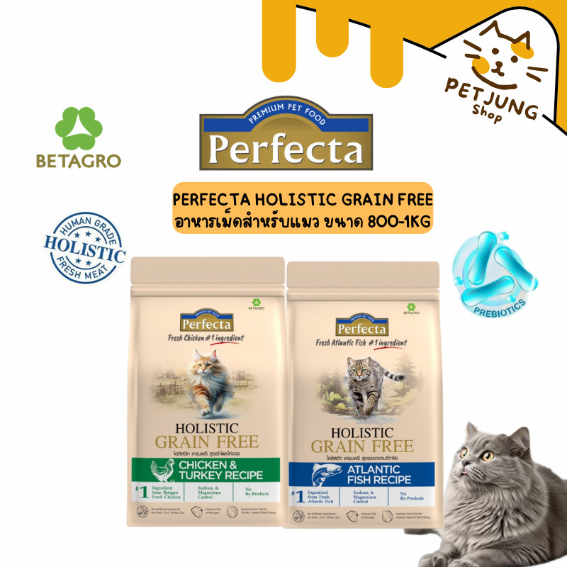 PERFECTA HOLISTIC GRAIN FREE แมวโตลูกแมว สูตรไก่และไก่งวง 1KG และ สูตร Atlantic fish 800G