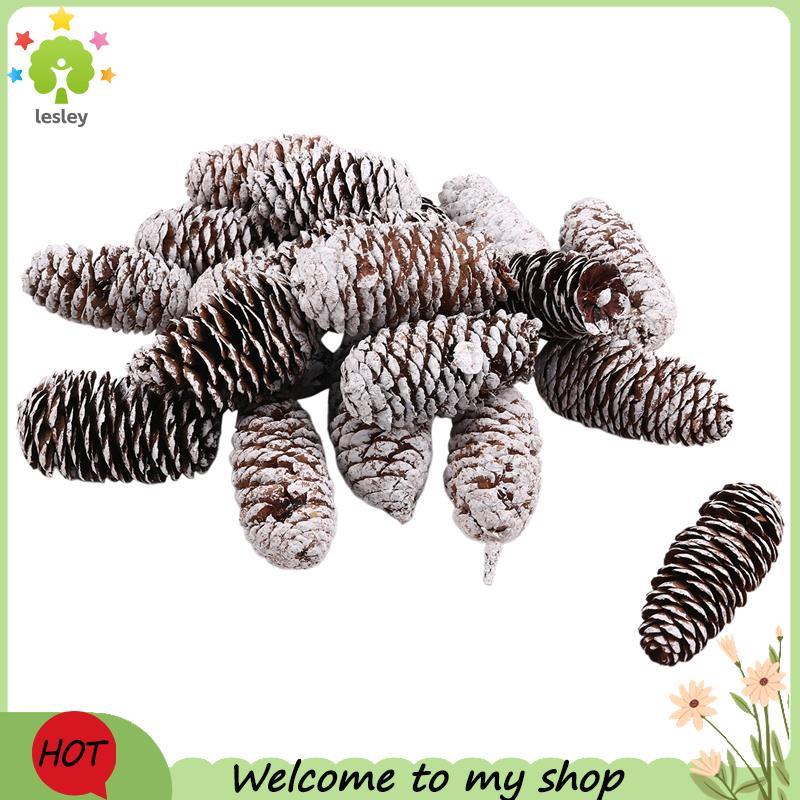 lesley20 ชิ้น Pine Cones ตกแต่ง, ธรรมชาติ Snow Pine Cones ขนาดใหญ่ Pine Cones คริสต์มาส Pine Cones เ