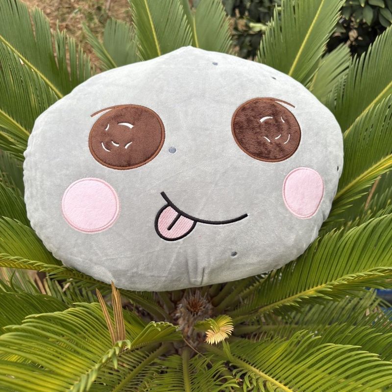 【พร้อมส่ง】 riize doll riize ตุ๊กตาตุ๊กตา riize ตุ๊กตา riize 10cm ตุ๊กตาเกาะ riize ของเล่นตุ๊กตา จี้