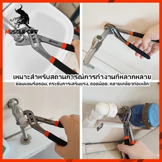 MUSCLE COW คีมปั๊มน้ำปากเลื่อน 8/10/12 นิ้ว ด้ามกันลื่น แข็งแรง ปรับขนาดได้ ใช้งานงานช่างและซ่อมบ้าน