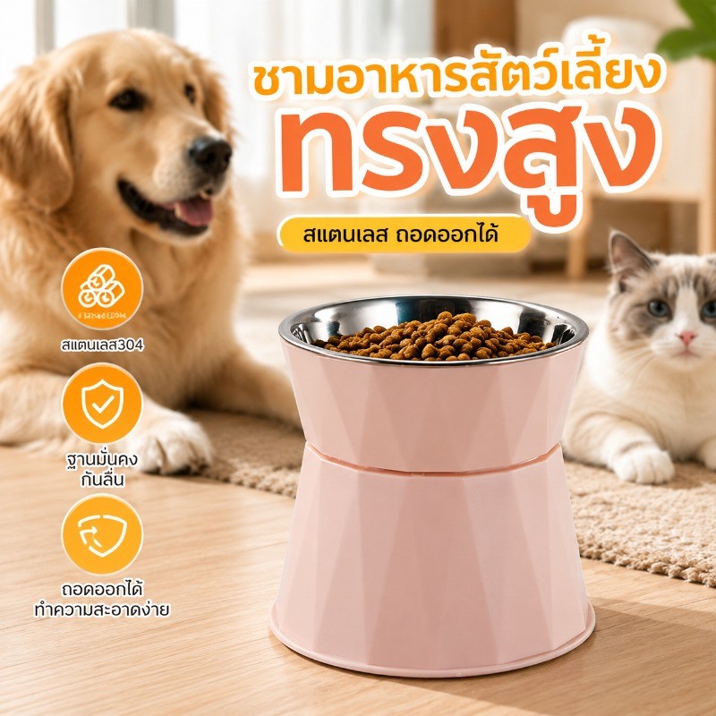 ชามอาหารสัตว์เลี้ยง ทรงสูง ชามอาหารสุนัข ชามอาหารแมว สแตนเลส ถอดออกได้ กันลื่น ฐานมั่นคง