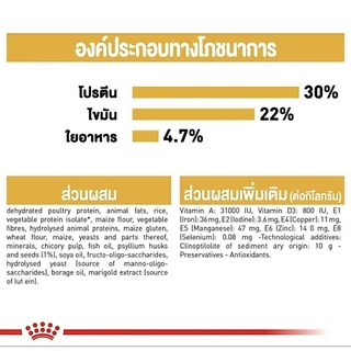 ROYAL CANIN PERSIAN 4KG อาหารเม็ดสูตรเปอร์เซียโต