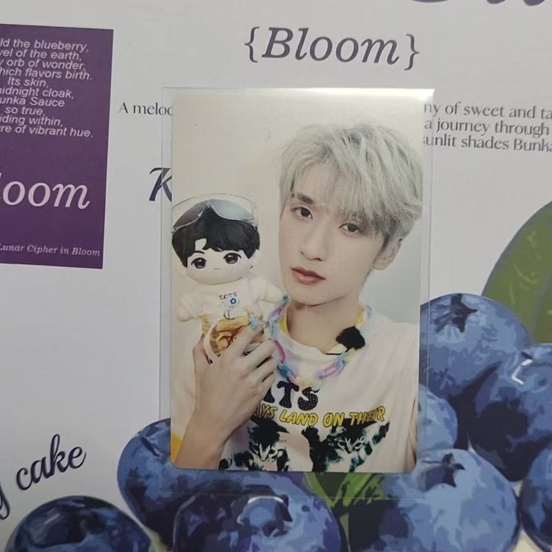 Times Youth League 1.0 Waka Yan Haoxiang Photocard