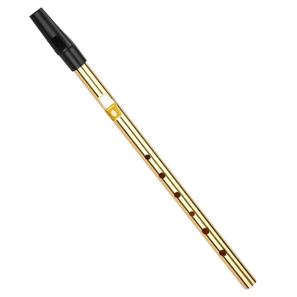 Summina Irish Whistle Flute Key ของ C 6 Hole Wind Instrument สำหรับฝึกซ้อม