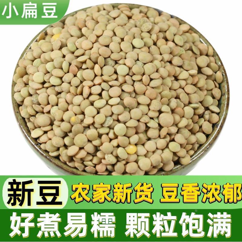 Lentils ขนาดเล็ก 500g Golden Peas ไขมันต่ําทั้งธัญพืชใยอาหาร Gansu Farm Green Lentils Sprout Beans S