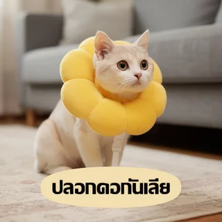 สัตว์เลี้ยงการกู้คืนปลอกคอปรับผ้าฝ้ายนุ่มน่ารักแครอทดอกทานตะวันแมวสุนัขป้องกันเลียโคน