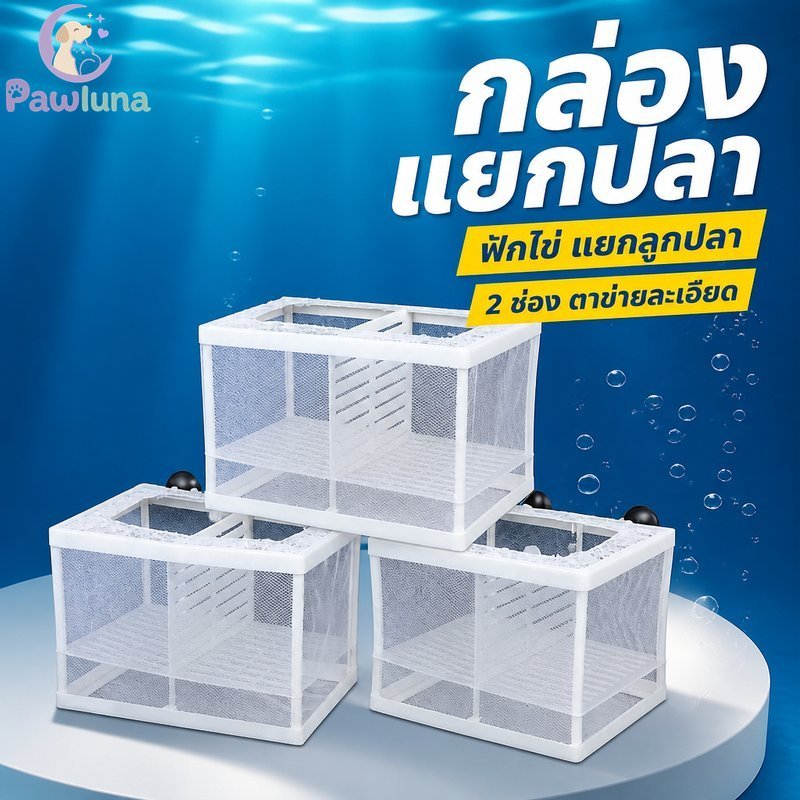 กล่องเพาะพันธุ์ปลา ฟักทอด ถังแยก ตาข่ายโปร่งใส Divider