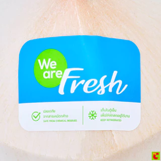 วี อาร์ เฟร็ช มะพร้าวอ่อน Young Coconut