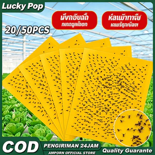 แผ่นกาวดักแมลงสีเหลือง กาวในตัวทนต่อแสงแดด แพ็ค20/50แผ่น หลายขนาด ดักแมลงวันทองและแมลงศัตรูพืช