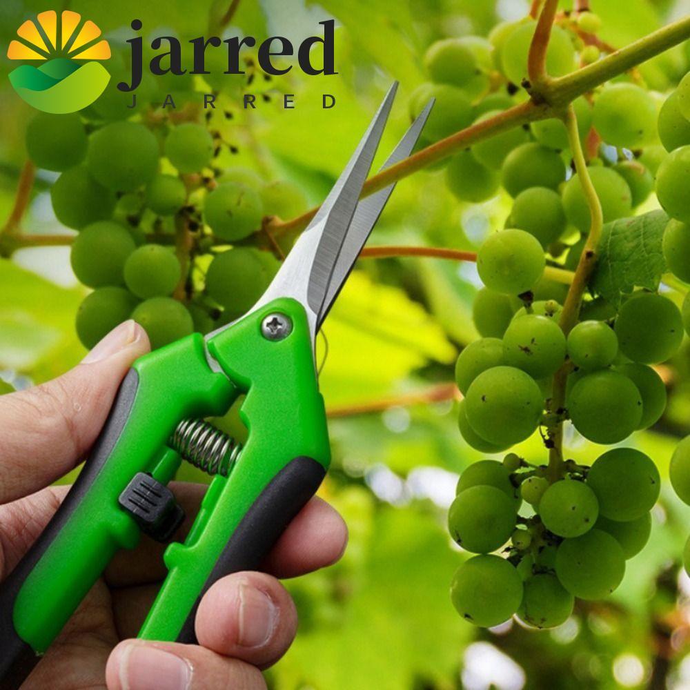 JARRED ตัดแต่งกิ่งเครื่องมือสวน Pruners สําหรับครัวเรือนกระถางบอนไซเครื่องมือเครื่องตัดมืออุปกรณ์ทํา