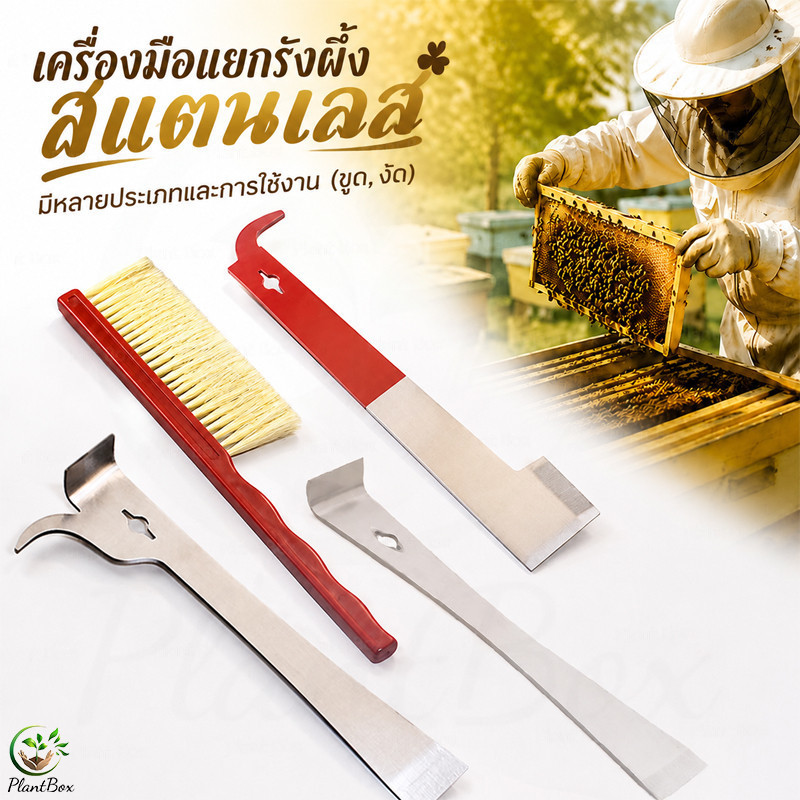 เครื่องมือขูดและยกกรอบรังผึ้ง มีหลายประเภทและการใช้งาน (ขูด, งัด) สแตนเลส  - อุปกรณ์ผู้เลี้ยงผึ้ง