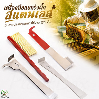 เครื่องมือขูดและยกกรอบรังผึ้ง มีหลายประเภทและการใช้งาน (ขูด, งัด) สแตนเลส  - อุปกรณ์ผู้เลี้ยงผึ้ง