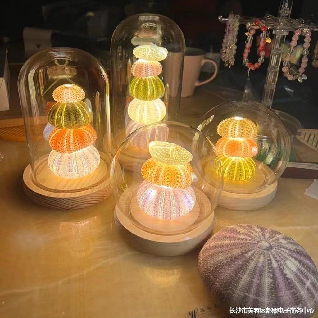 Sea Urchin Shell Night Light DIY Luminous วัสดุ Pack Retro Shell Sea Urchin Night Light DIY522026082