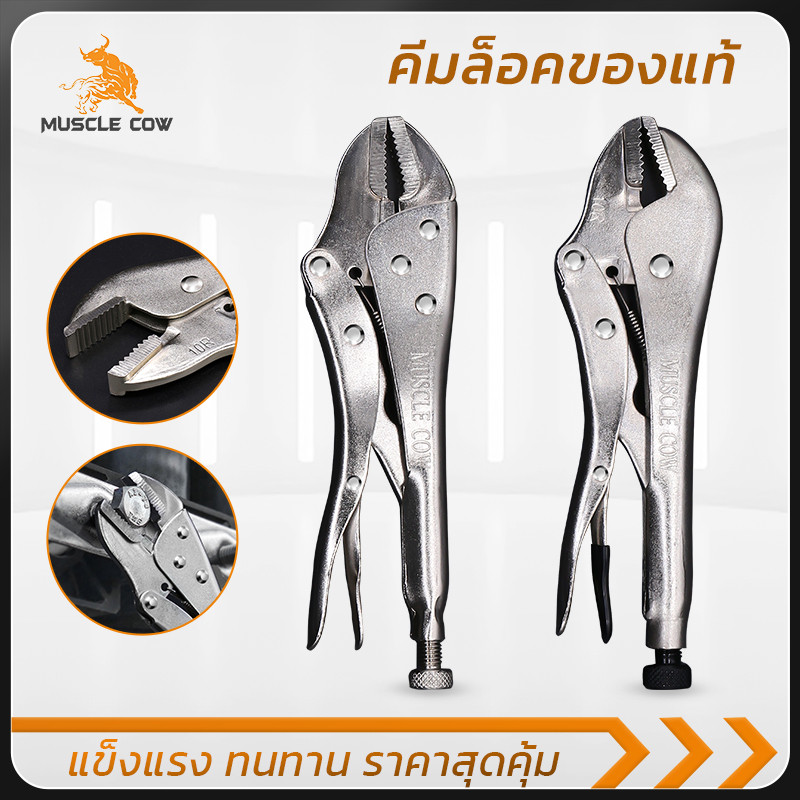 MUSCLE COW คีมล็อคเหล็กแท้ ปากตรงและปากโค้ง ขนาด 10 นิ้ว ปากกว้าง 45 มม. ทนแรงสูง สำหรับงานหนัก