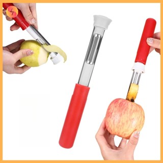 2 in 1 สแตนเลส Apple Corer Peeler เครื่องมือผักผลไม้ Core Re…