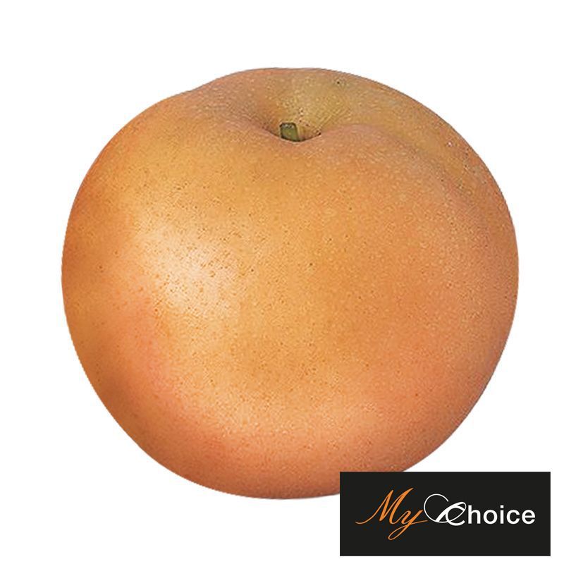 มายช้อยส์สาลี่หิมะ My Choice Snow Pear [หมายเลขบาร์โค้ด 0218733000000 ] สินค้าคุณภาพดี คัดสรรอย่างตั้งใจ