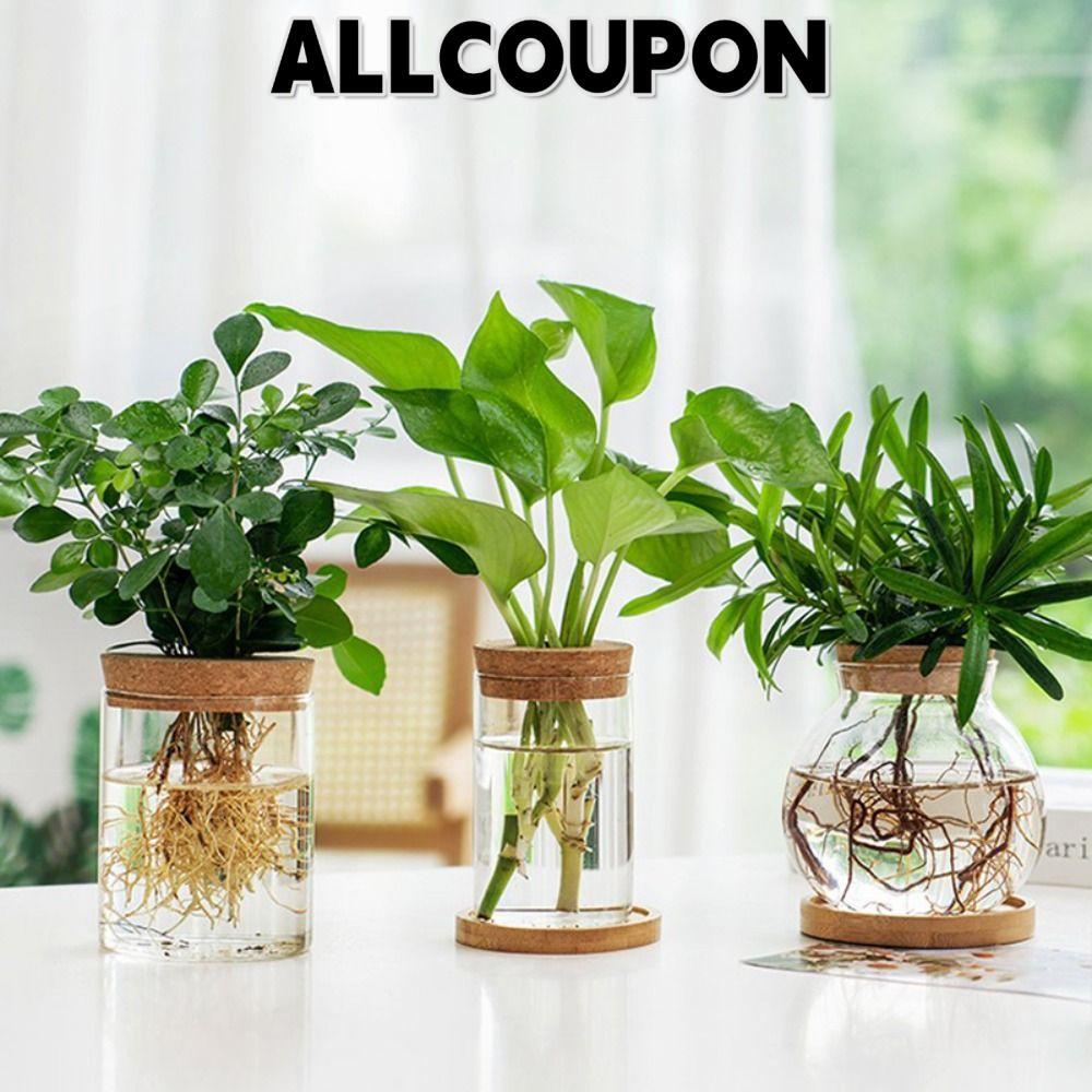 ALLCOUPON กระถางดอกไม้ Hydroponic, แจกันแก้วบ้านสร้างสรรค์ไร้ดิน, มินิใสกระถาง Terrarium