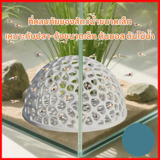 บ้านหลบปลาเล็ก ที่หลบลูกปลา จุดวางไข่ในตู้ ปกป้องลูกปลาจากปลาใหญ่ ตกแต่งตู้ ใช้กับกุ้งเล็กปลาเล็ก ครึ่งวงกลม