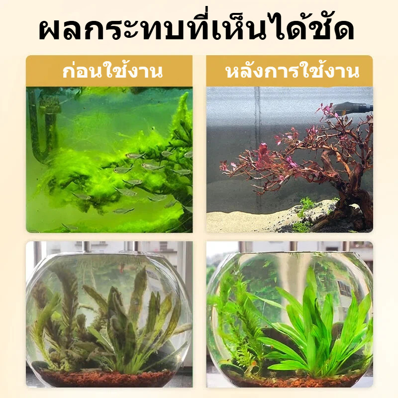 เม็ดกำจัดตะไคร่ ขจัดตะไคร่และสาหร่ายอย่างมีประสิทธิภาพ รูปที่ 5