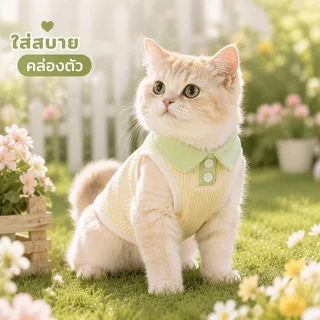 เสื้อผ้าสัตว์เลี้ยง เสื้อหมา เสื้อแมว ลายแฟชั่น คอปกสีพาสเทล ผ้านิ่ม ระบายอากาศ ใส่ง่าย