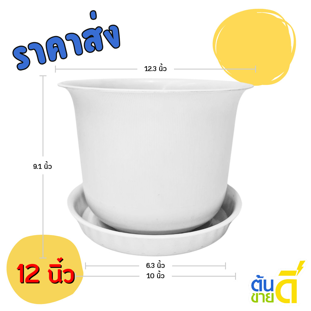 กระถาง กระถางต้นไม้ มินิมอล ถ้วยจีน จานรอง ขนาด 12 นิ้ว สีขาว ขั้นต่ำ 2 ใบ ชิ้น อัน