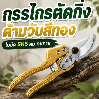 กรรไกรตัดกิ่ง SK5 กรรไกรตัดกิ่งไม้ คมทน แข็งแรง ใช้งานง่าย เครื่องมือทำสวน สำหรับตัดต้นไม้ กิ่งไม้ ดอกไม้