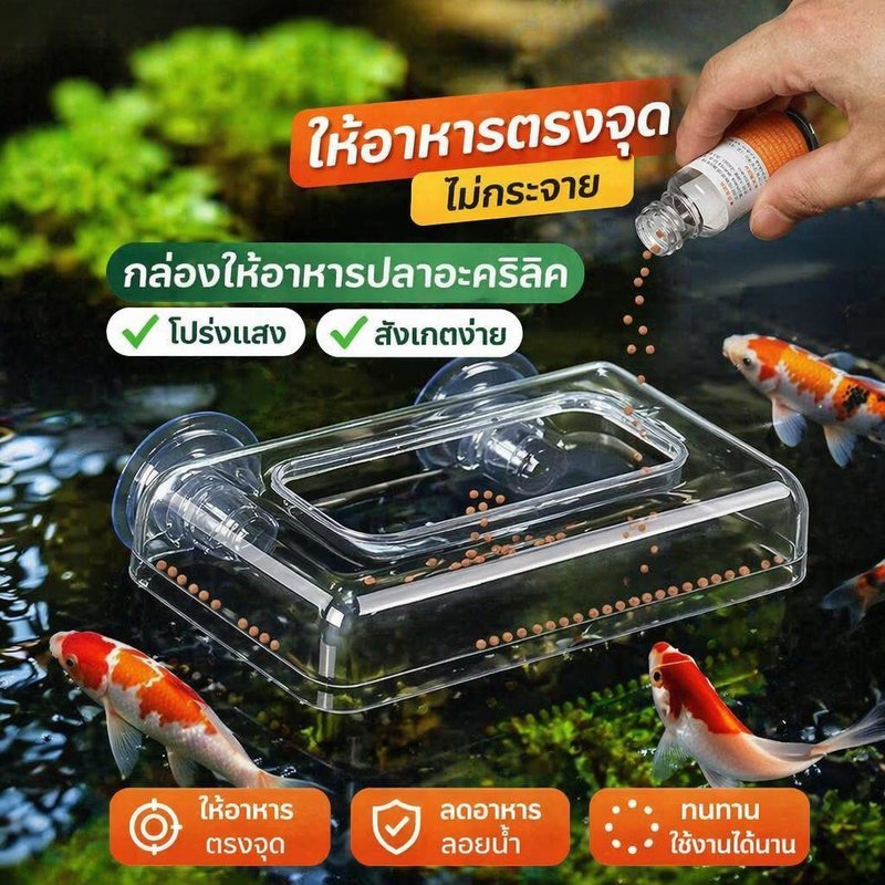 ที่ให้อาหารปลา อะคริลิคใส วงแหวนให้อาหารปลา ติดตู้ปลา ให้อาหารจุดคงที่ ลดอาหารกระจาย น้ำสะอาด