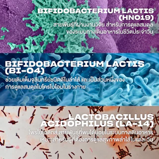 [แพ็คคู่ ] Swisse Ultibiotic Daily Active Probiotics โพรไบโอติกส์ 30 Caps