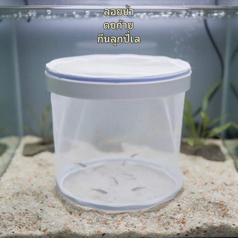 ตาข่ายฟักไข่ปลา ตู้เพาะลูกปลาลอยน้ำ ตาข่ายละเอียด แยกลูกปลา thumbnail 3