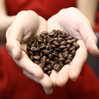 Aroma Coffee เมล็ดกาแฟคั่ว Gold Blend (ชนิดเม็ด) (250 กรัม/ซอง)