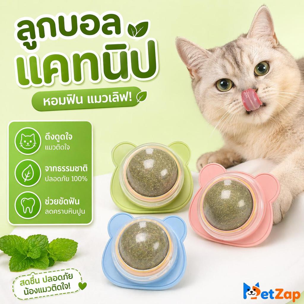 【PetZap】พร้อมส่ง COD บอลแคทนิปแมว ของเล่นแมวเล่นเอง ของเล่นแมว ลูกบอลแคทนิป ติดผนัง ขัดฟันแมว แก้เบื่อ CW-076