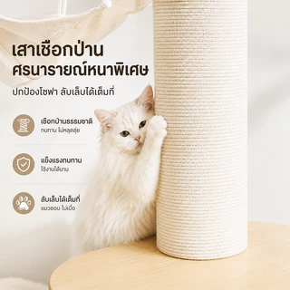 ไม้แมวคอนโดแมว ตัวคอนโดแมวใหญ่ กรอบปีนแมว โครงปีนแมว คอนโดแมว cat tree tower พร้อมโดมนอนแบบใส บ้านแมว ทนต่อการขีดข่วน