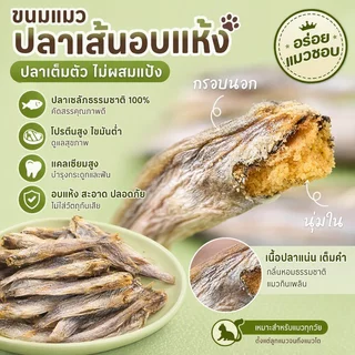 😻พร้อมส่ง🐟ปลาไข่แมว ขนมแมว อบแห้ง ปลาไข่เต็มตัว สุขภาพดี ปลอดภัย ธรรมชาติ100%