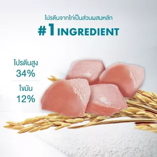 [เลือกขนาดได้] Purina One อาหารแมวชนิดเม็ด สำหรับแมวโต เลี้ยงในบ้าน