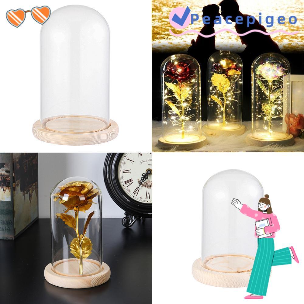PEACEPIGEO ฝาครอบกันฝุ่น Terrarium Terrarium พืชโต๊ะขวดโปร่งใสตกแต่งบ้านดอกไม้กล่องเก็บ