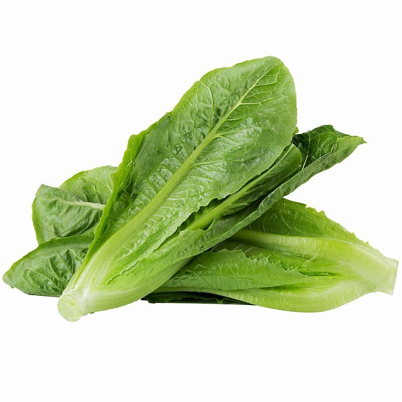 สลัดคอสออร์แกนิค Organic Cos Lettuce [หมายเลขบาร์โค้ด 0000031174022] สินค้าคุณภาพดีคัดสรรเพื่อคุณ