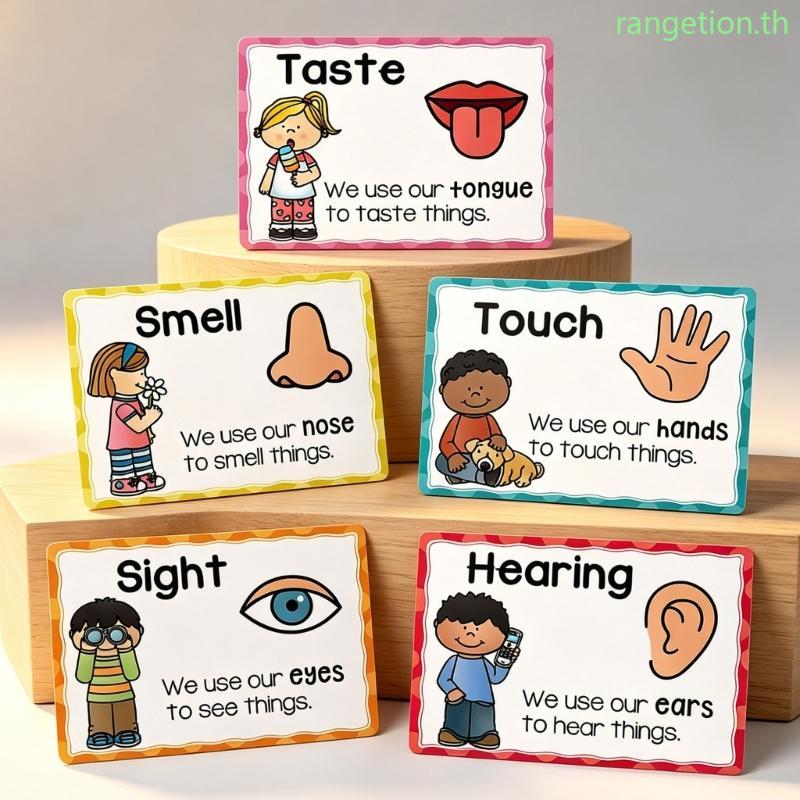RAN Educational Visual Auditory Tactile Olfactory Gustom การ์ดโปสเตอร์ความรู้ความเข้าใจ