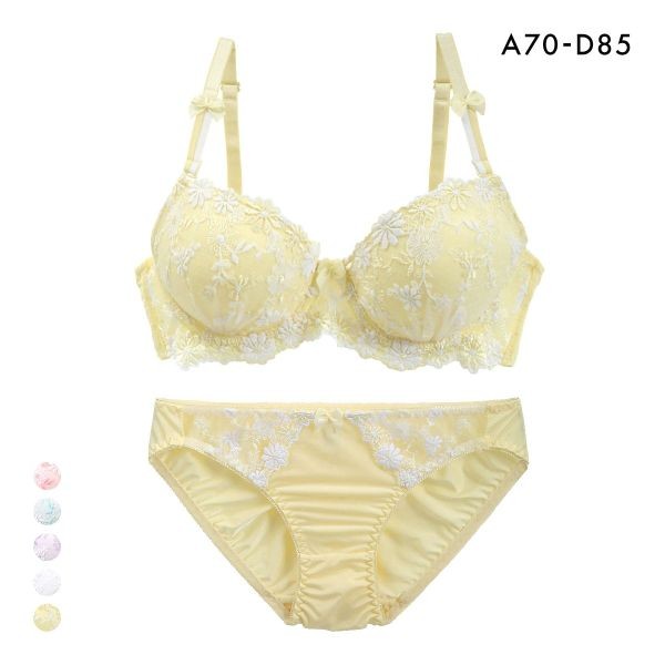 SANEI Gyupir lace floral embroidery bra panties set (Sizes A-D)(C0011954ADW)(Direct from Japan)1