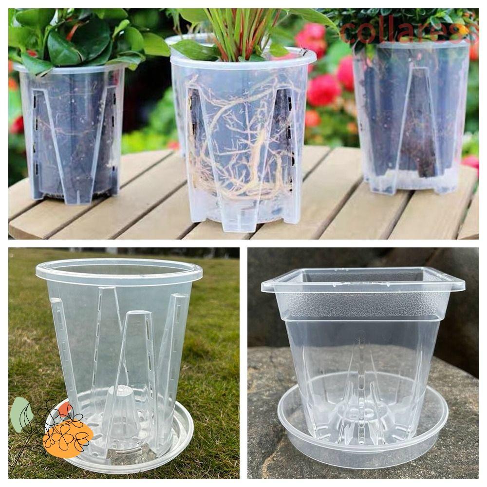 COLLARESS Phalaenopsis Orchid Potted, Round Square Plastic Transparent Flower Pot, Orchid Pot Breath