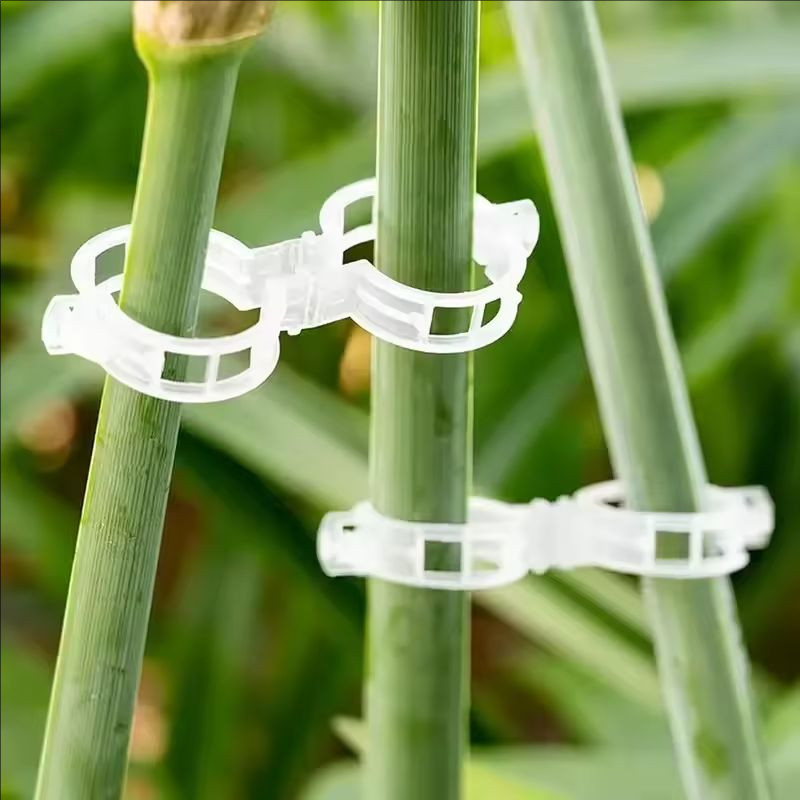 100 ชิ้นคลิปพืชรองรับพลาสติกแบบใช้ซ้ําได้เชื่อมต่อ Fixing Vine Tomato Stem Grafting ผักพืช Orchard และ Garden เครื่องมือ