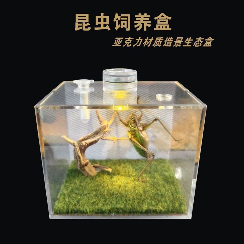 饲养盒爬虫鸣虫昆虫蝈蝈蛐蛐螳螂蟋蟀蝎子蜘蛛油葫芦等生态景观盒7.15 กล่องเพาะพันธุ์สำหรับสัตว์เลื้อยคลาน แมลงที่ส่งเสียงร้อง ตั๊กแตน 