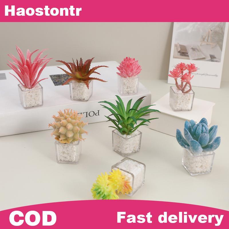 Haostontr 1/12 ตุ๊กตาจําลองกระถางต้นไม้รุ่นมินิเรซิ่นตกแต่งชิ้นสําหรับนางฟ้าสวนฉากขนาดเล็กก่อสร้าง P
