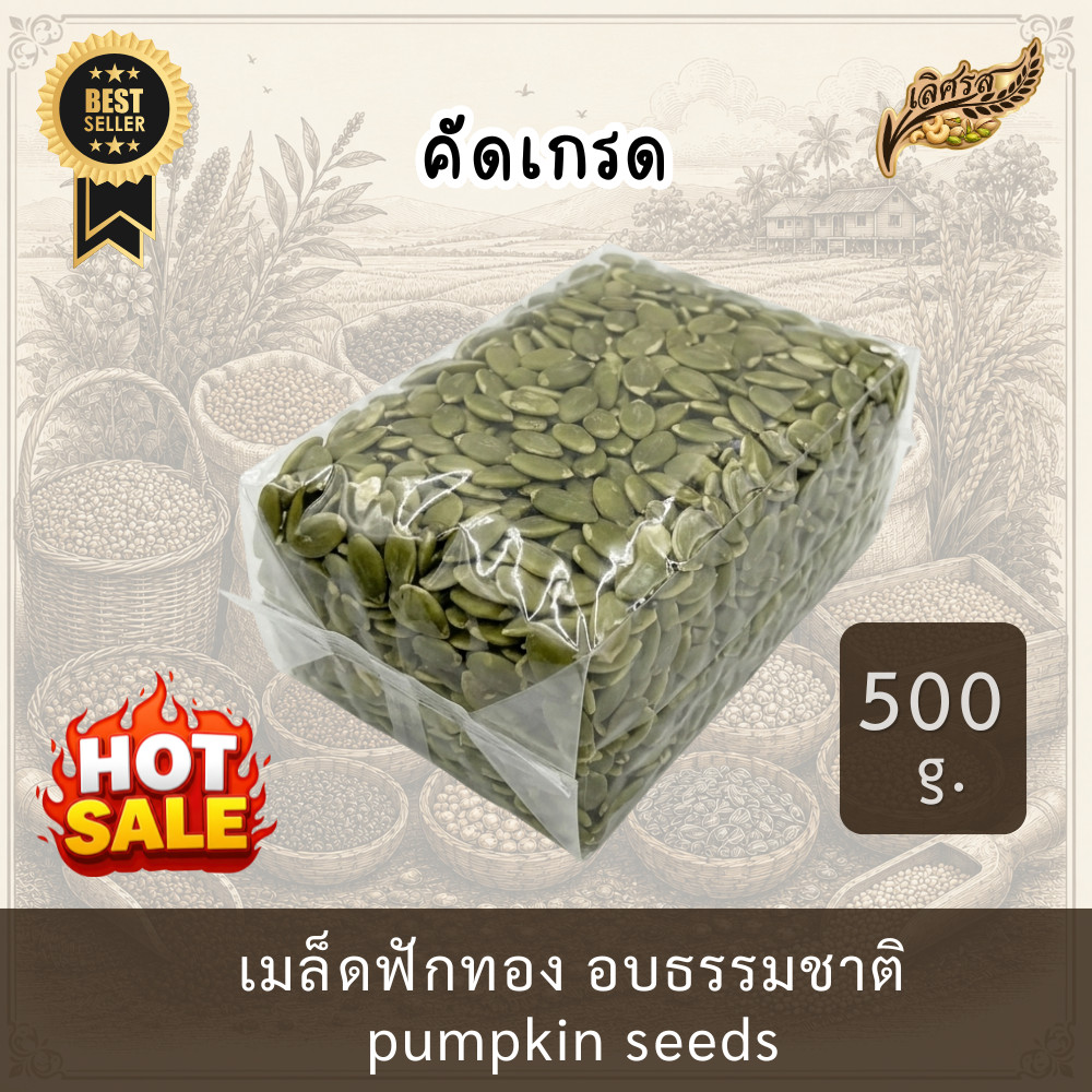 【ส่งฟรี】 คัดเกรดAAA เม็ดฟักทอง อบ เมล็ดฟักทอง เมล็ดฟักทองอบ พร้อมทาน อบธรรมชาติ 500g.